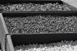Koristekivi, tumma diabaasi 5-12 mm, 1000 kg suursäkki - Koristekivet - 1387 - 2